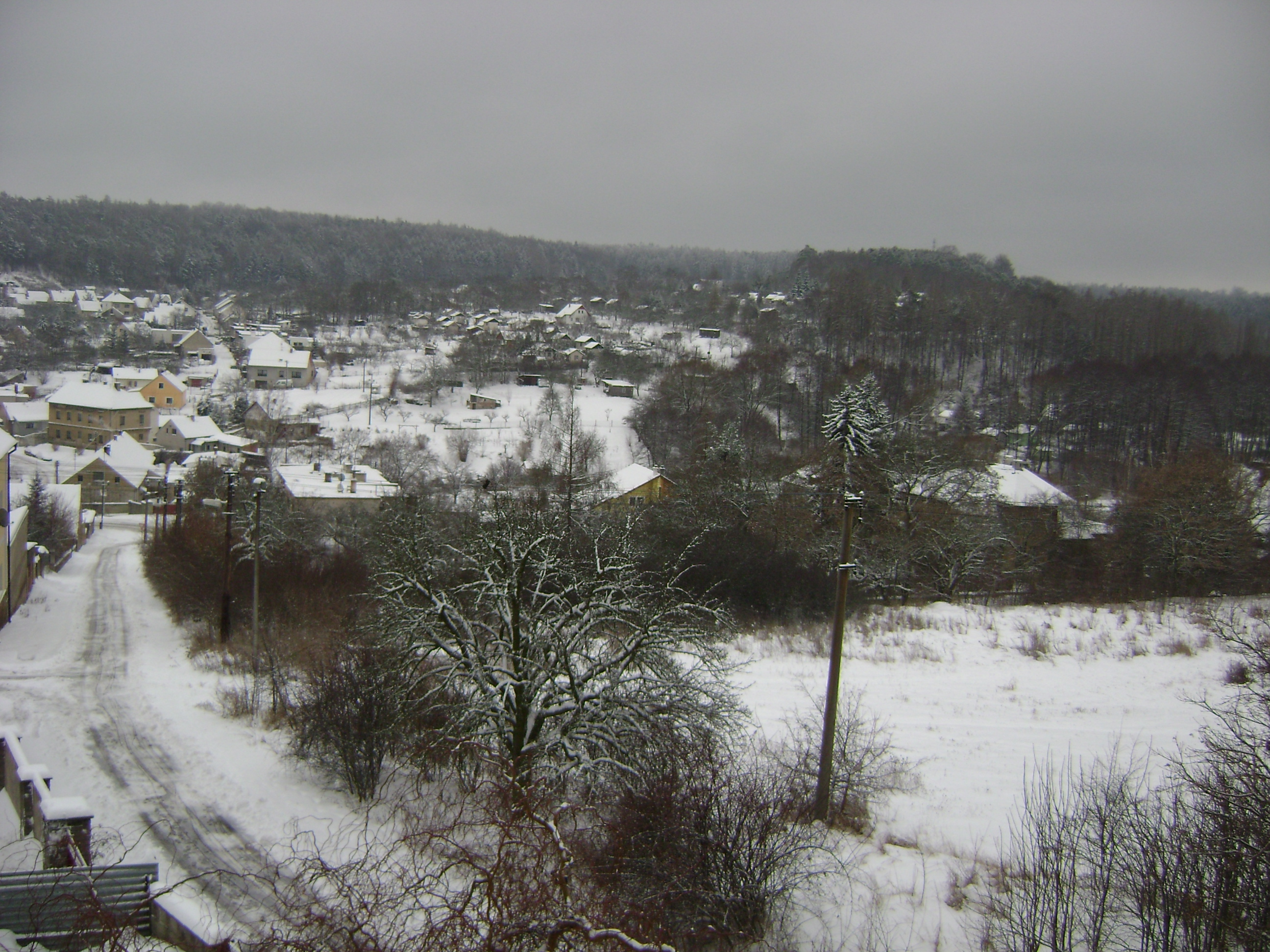 Zima 2010
