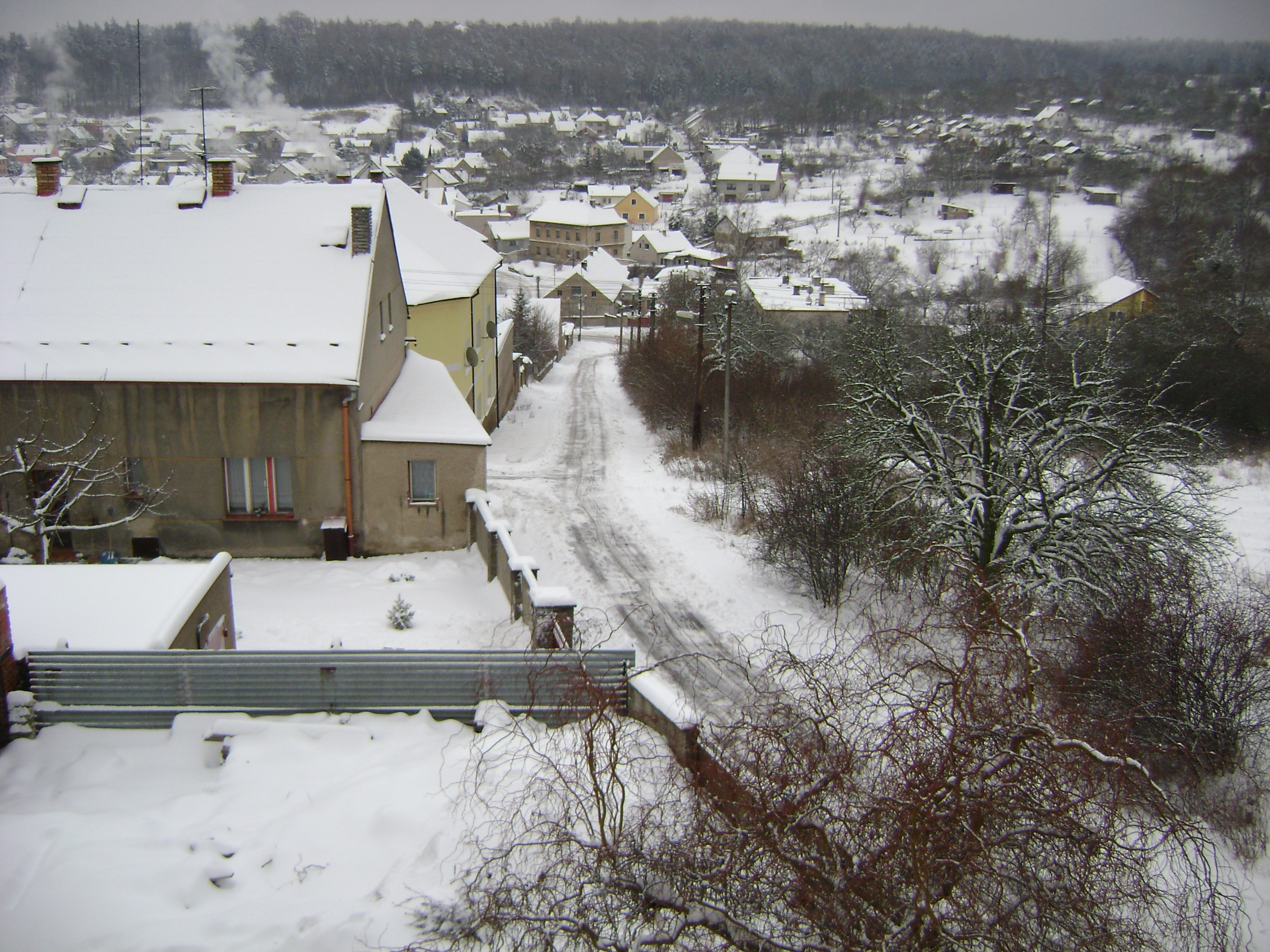 Zima2010